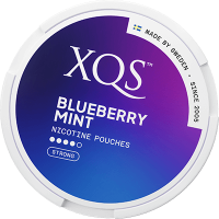 Xqs Blueberry Mint Strong 8mg