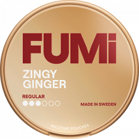 Fumi Zingy Ginger