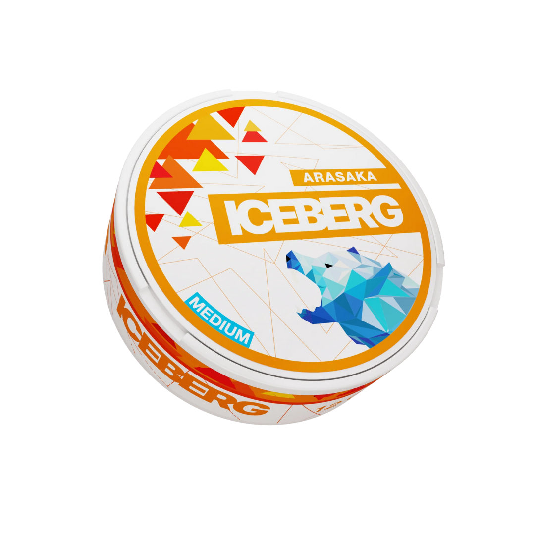Iceberg Arasaka 20