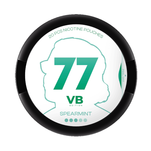 77 VB Edition Spearmint 3